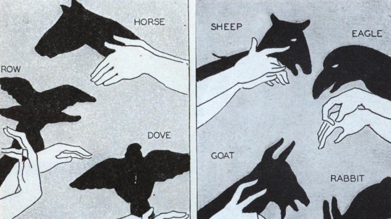 Shadows in the Dark: Shadow Puppetry Since 1930