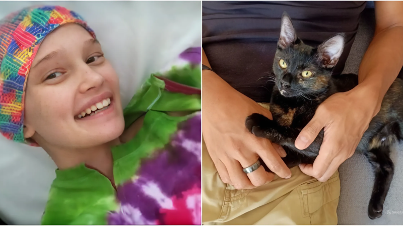 A Dying Girl’s Wish: How a Kitten Brought Healing to a Heartbroken Family