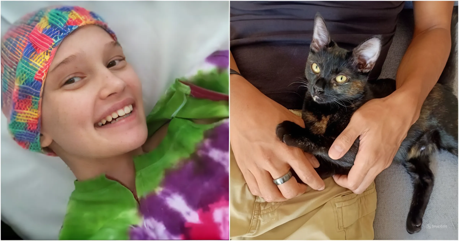 A Dying Girl’s Wish: How a Kitten Brought Healing to a Heartbroken Family