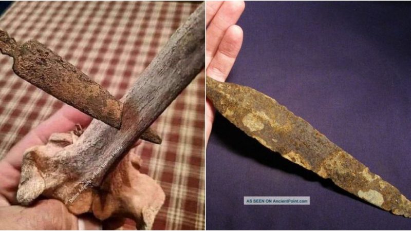 A Relic of the Roman Gaelic War: The Spearhead Embedded in Bone for 2070 Years