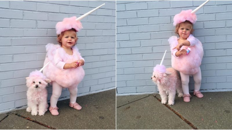 A Touch of Pink: Creating Adorable Cotton Candy Costumes for Kids and Pets