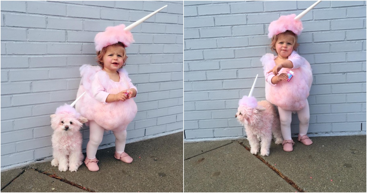 A Touch of Pink: Creating Adorable Cotton Candy Costumes for Kids and Pets