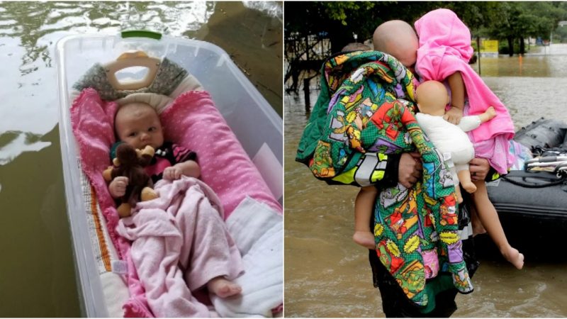 Baby Lucky: Rescued from Hurricane Helene Floodwaters, Honored in a Heartfelt Photoshoot