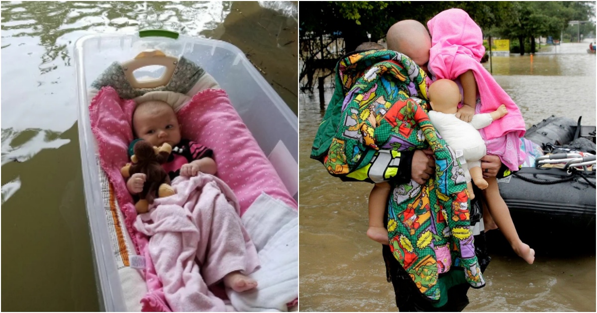 Baby Lucky: Rescued from Hurricane Helene Floodwaters, Honored in a Heartfelt Photoshoot