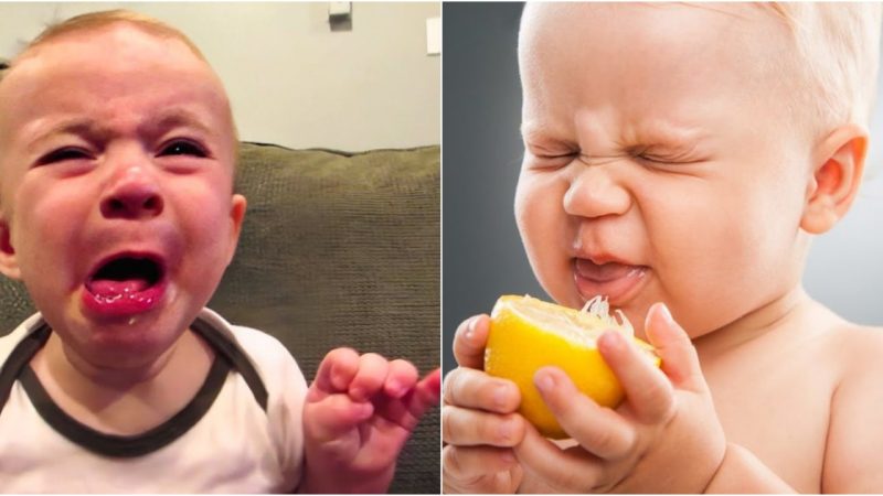 Capturing Hilarious First Reactions: Kids Trying Lemons for the First Time