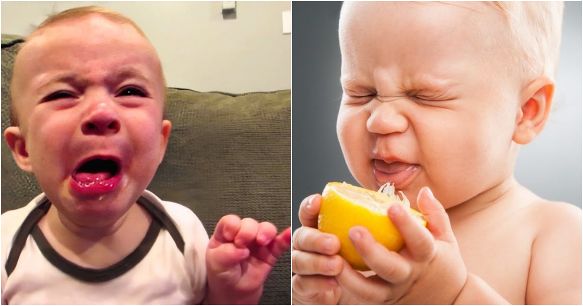 Capturing Hilarious First Reactions: Kids Trying Lemons for the First Time