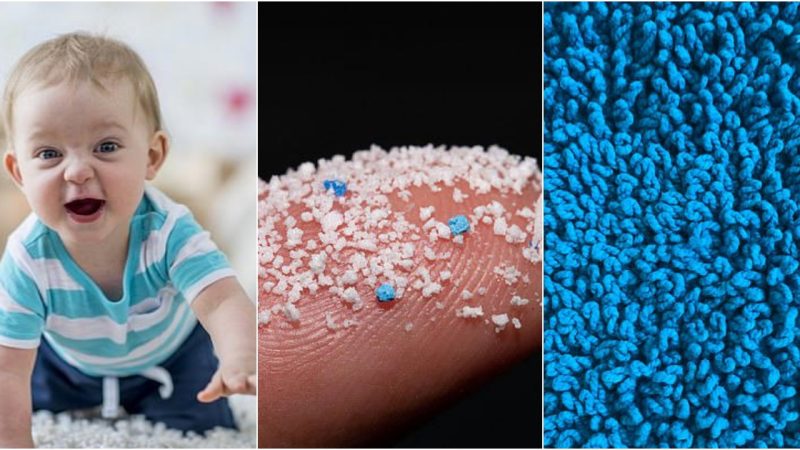 Microplastic Dangers: Why Toddlers Are at High Risk of Inhaling Harmful Particles from Carpets