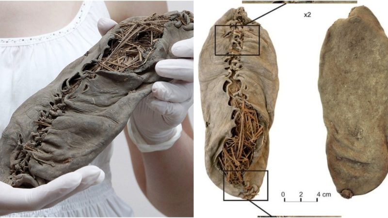 Stepping Through Time: The Oldest Leather Shoe and the Ingenuity of Ancient Armenians