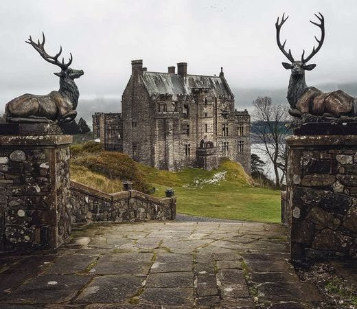 Duntrune Castle: A Perfect Blend of History and Tranquility for Travelers