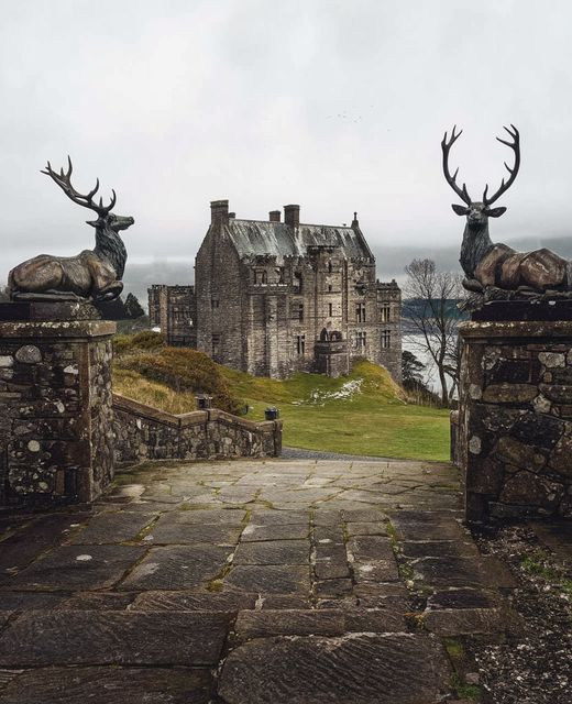 Duntrune Castle: A Perfect Blend of History and Tranquility for Travelers