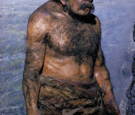 Neanderthal Man Reconstruction: A Glimpse into Prehistoric Humanity