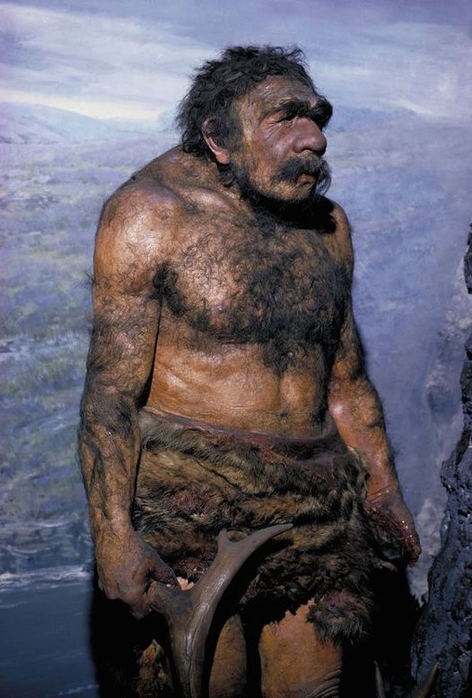 Neanderthal Man Reconstruction: A Glimpse into Prehistoric Humanity