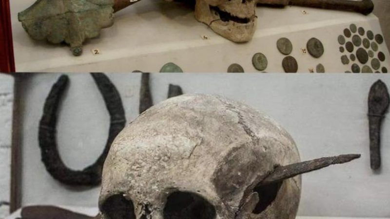 The Skull of a Fallen Roman Legionnaire: A 2,100-Year-Old Testament of the Gallic Wars