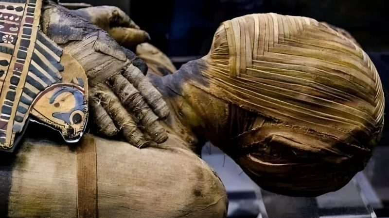 The Unknown Mummy: The Enigma of Untouched Wrappings