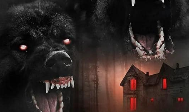 The Dogs (2024) – A Haunting Tale of Mystery and Terror