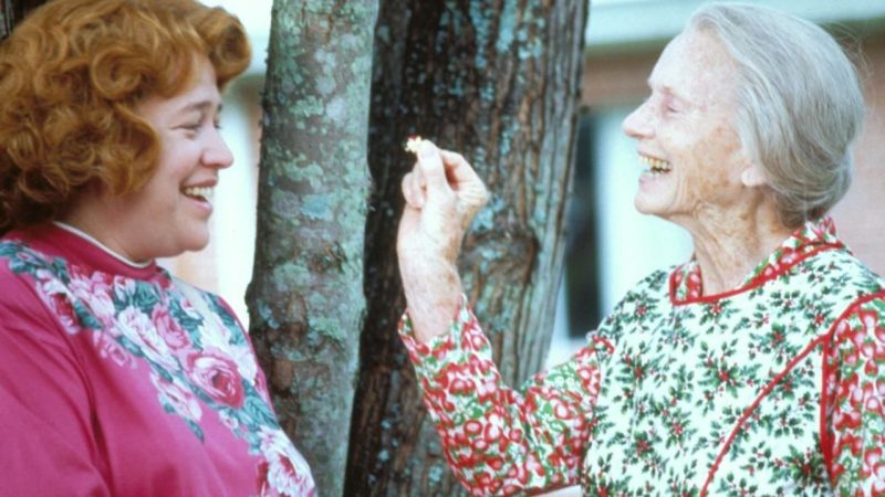 Fried Green Tomatoes (1991): A Heartwarming Tale of Friendship and Resilience